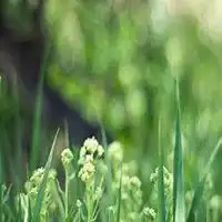 绿色西装头像微信头像图片大全