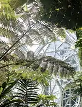 立夏到啦,快来感受一下热带雨林设计的魅力