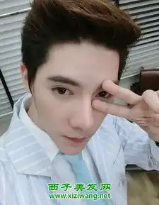 90后男生呆萌发型图片帅气可爱正太范