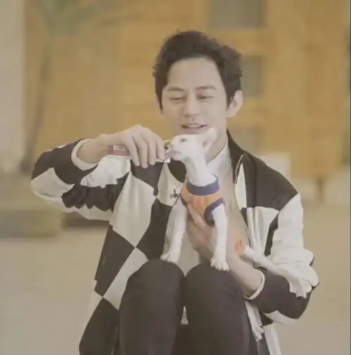 请查收,你的治愈系小确幸