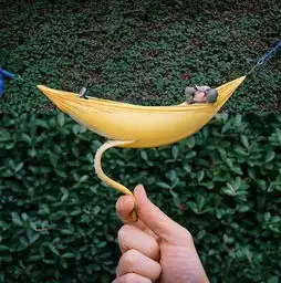 不会画画,只是将两张照片放在一起,竟然有如此超现实效果