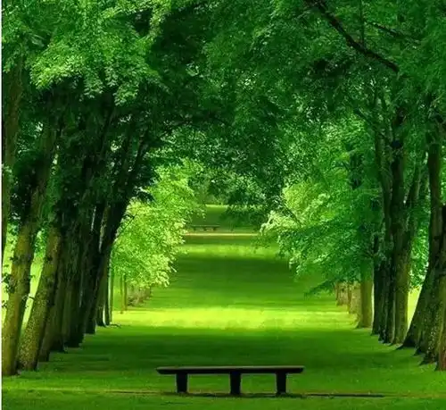 人的修养看言行,人的品德看心灵,人的为人看朋友