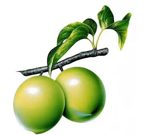 这种果子泡水喝,当心越喝越长寿