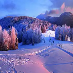 黑龙江牡丹江雪乡2日1晚跟团游雪乡大门票景区倒站车二人转秃顶子山大雪谷忽汗河使鹿部落或梦幻家园或狗拉雪橇三选一