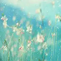 中年微信头像图片花微信头像图片大全