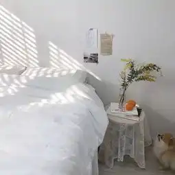 韩系背景图