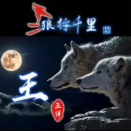 霸气狼系少年头像盖尔