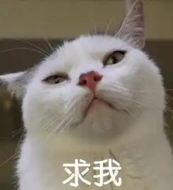 壁纸头像超可爱搞笑猫咪表情包