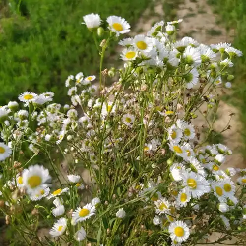 丧到眼红的qq空间留言人间恍惚,我觉得已经爱过了你