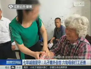 坚守诚信儿子生前欠下巨款,农妇7年给人洗碗打工还债