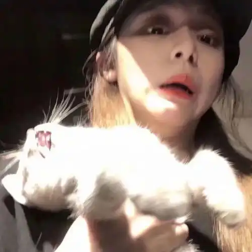 一组猫系女生头像,请签收