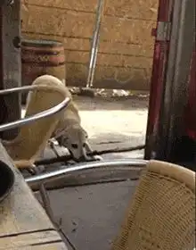 情侣意外怀孕算谁的错哈哈哈评论太真实了