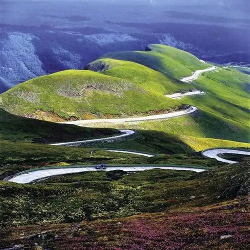 官方推荐的消夏避暑路线,主打一个凉爽