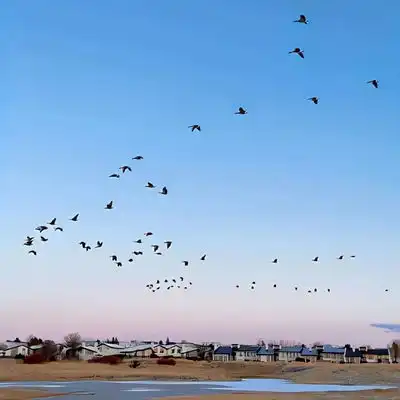 2023最新蓝天好心情风景头像