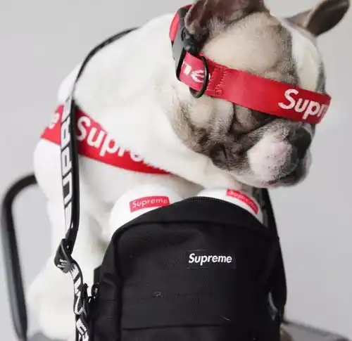 每日推荐辛普森supreme潮流壁纸头像
