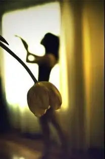 换个角度,总会发现不一样的美