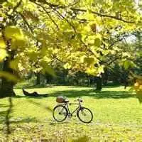 微信风景头像图片大全微信头像图片大全