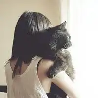 女头像抱着猫高清图片微信头像图片大全