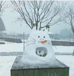 下雪了,看看他们堆的那些搞笑雪人,你绝对创意不出