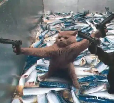 你对管理有什么理解