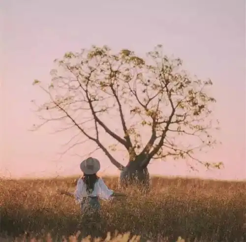 户外学堂245旅行照,用手机这样拍,赞爆你的朋友圈