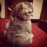 男生女生搞怪头像一对微信头像图片大全