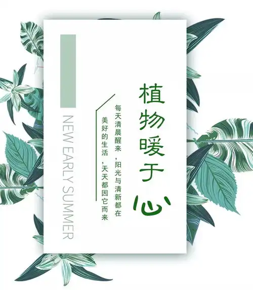拥有一个治愈系绿植的家,才是生活该有的模样