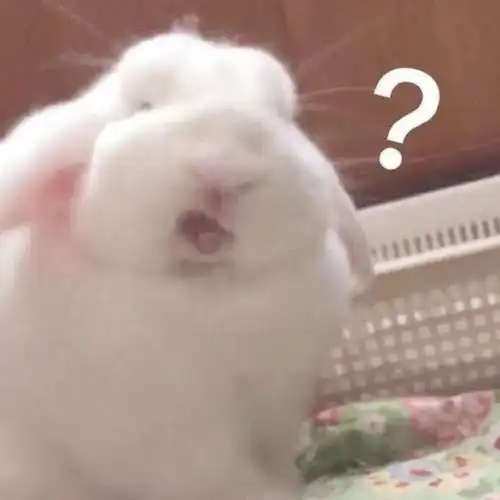 有哪些在朋友圈会被秒赞的文案