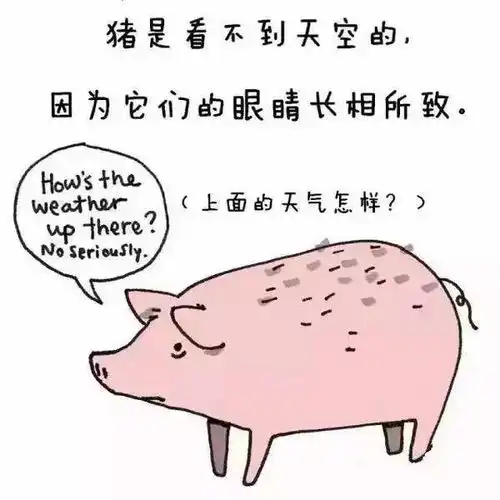 30个滑稽呆萌的动物冷知识,大人孩子一起涨姿势吧