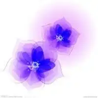 带有紫色的微信头像微信头像图片大全