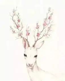 其实,幸福就藏在这9件事里