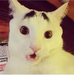 今天有一个好消息还有一个坏消息要告诉你们