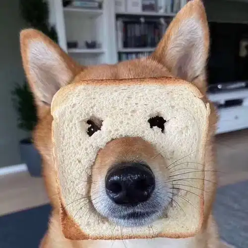 奔驰再次上央视,售前售后都是坑