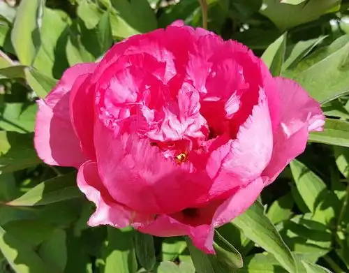 10月底,4属相吉星加身,运势攀升,接财接福接桃花,前途无量