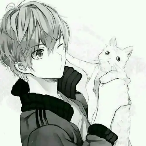 求黑白的动漫头像男生的带猫的高悬赏有我满意的就采纳