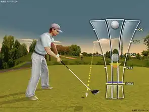 realgolf2011编辑送自己的生日礼物图片5