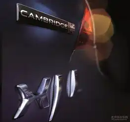 道系头像图限量版