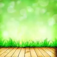 简短唯美的朋友圈文案,激励人生,积极向上