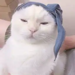 天蝎座的死穴请别碰天蝎敏感加细节控已经快让孤独终老了