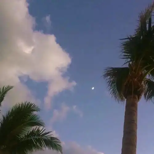 ins风冷淡治愈系朋友圈背景图