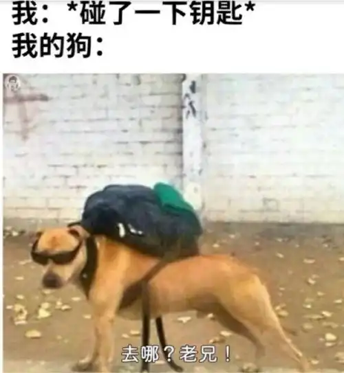 3dm轻松一刻第951期请问这是通往二次元的路吗