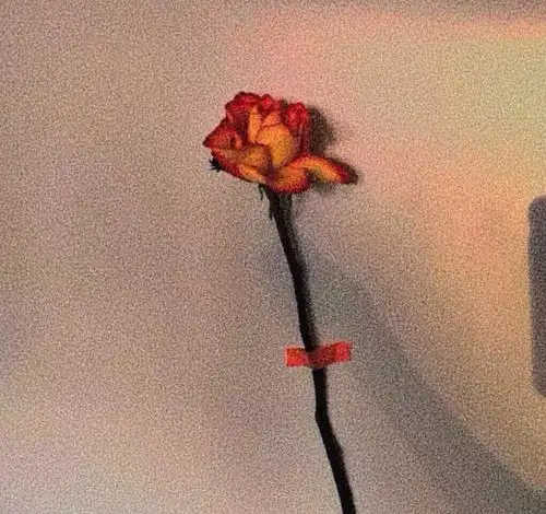 治愈系温柔文案夏天这么长一定要找个会挑西瓜的人在一起