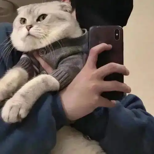 帅掉渣男生头像