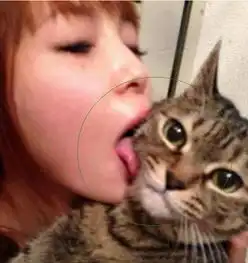 治愈系的猫咪女生头像日