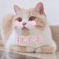 抖音蜜桃猫咪表情包微信头像图片大全