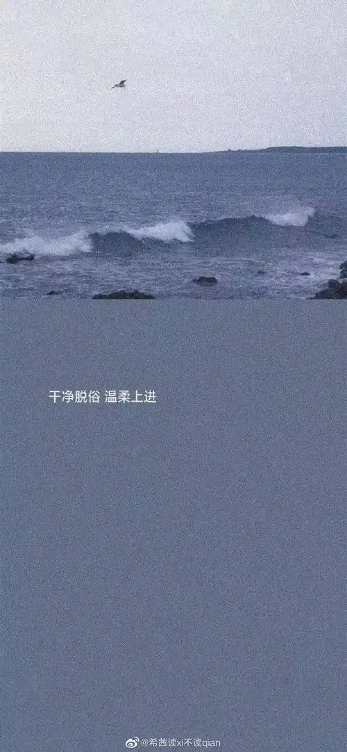 有没有让人一眼看上去很治愈的壁纸