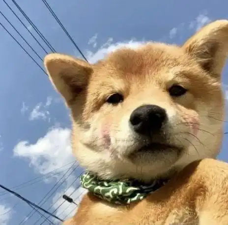 来一波超nice头像头像