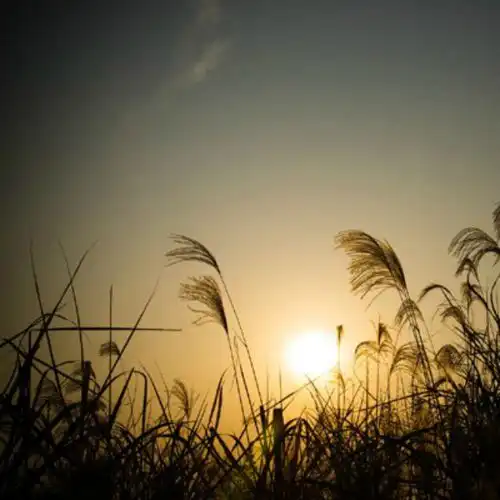 鬼步舞宋瑞妤谭谭高音质在线试听鬼步舞歌词歌曲下载酷狗音乐