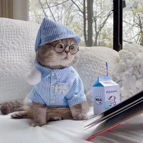 团体头像太喜欢了