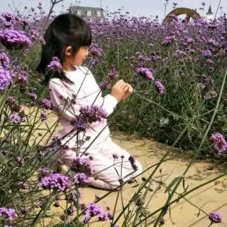在线收听杨潜儿荔枝